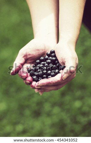 Similar – Ripe blackberries in a child hand