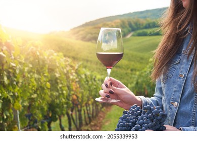 Woman holding glass of red wine and bunch of black grapes in vineyard. concepts of vintage, harvest and wine making. - Powered by Shutterstock