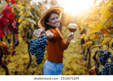 Woman holding glass of red wine in vineyard. Food and drink concept.She is showing grapes to camera. - Powered by Shutterstock