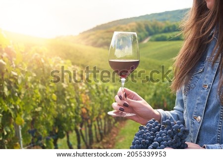 Woman holding glass of red wine and bunch of black grapes in vineyard. concepts of vintage, harvest and wine making.