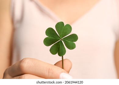 Woman holding green four leaf clover in hand, closeup - Shutterstock ID 2061944120