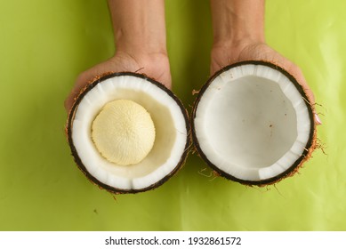 Woman Holding Half Cut Coconut Having Embryo Sapling Both Hands Kerala, India. Used Cooking Prepare Chutney, Ayurveda, Making Extra Virgin Edible Coconut Oil , Copra Oil.