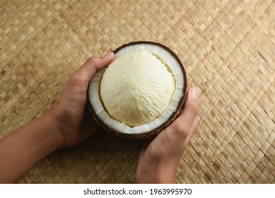 Woman Holding Half Cut Coconut Having Embryo Sapling Both Hands Kerala, India. Used Cooking Prepare Chutney  Seasoning  Massage Spa  Ayurveda Making Extra Virgin Edible Coconut Oil Copra Oil.