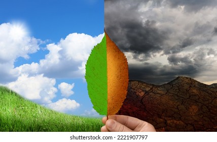 Woman holding half dead and alive leaf outdoors. Conceptual photo depicting Earth destroyed by environmental pollution - Shutterstock ID 2221907797