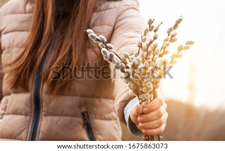 Woman holding in hand bunch of pussy-willow on the sun