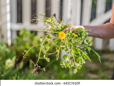Woman holding a handful of weeds from garden - hands only, soft focus - Shutterstock ID 643176109