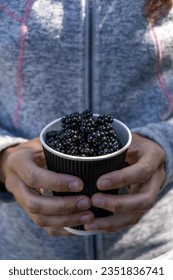 Woman holding handpicked blackberries in a coffee cup