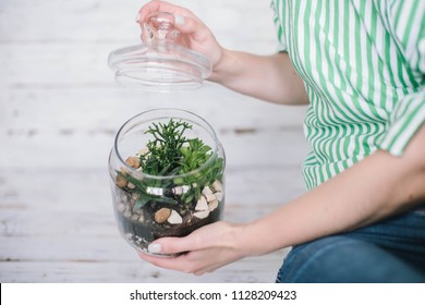 Woman holding hands mini succulent garden in glass terrarium.Florarium with succulent - Powered by Shutterstock