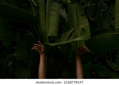 Woman holding hands up with relaxed palms with green leaves on background in focus soft light