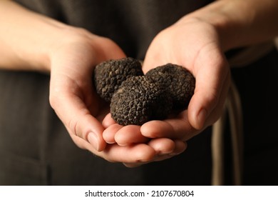 Woman Holding Heap Of Black Truffles In Hands, Closeup