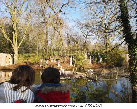Woman holding her child in a zoo and showing the pelicans