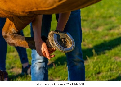 Woman Holding Hoof Horseshoe Hand Countryside Stock Photo 2171344531 ...