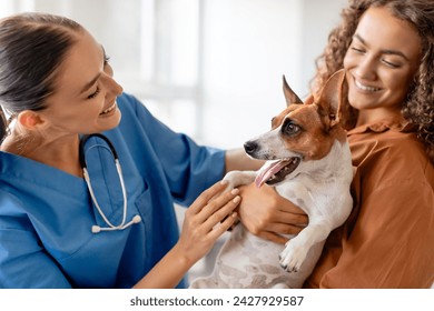 Woman holding Jack Russell Terrier during checkup in vet clinic, female veterinarian holds listening dog with stethoscope and smiling to pet - Powered by Shutterstock