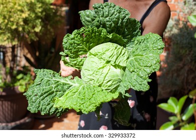 Woman Holding Kale