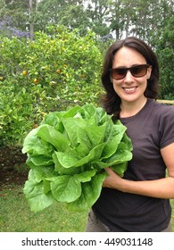 Woman Holding Large Organic Cos Or Romaine Lettuce In Her Garden. Photographed In New Zealand, NZ.