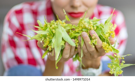 Woman holding linden flowers and enjoying of its aroma