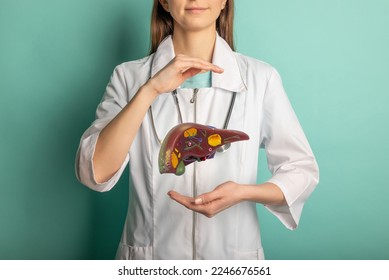 woman holding liver in the hands. Help and care concept - Shutterstock ID 2246676561
