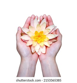 woman holding lotus flower isolated on white background