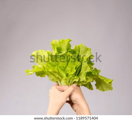 Similar – Image, Stock Photo Fresh leaf salad with a measuring tape on a board