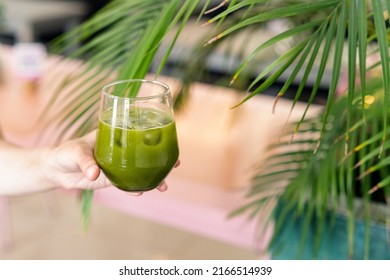 Woman Holding Matcha Iced Green Tea. Detox Drink Still Life