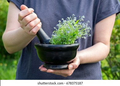 Woman holding a mortar of healing herbs and pestle. Herbal medicine.