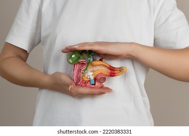 woman holding pancreas in the hands. Help and care concept - Shutterstock ID 2220383331