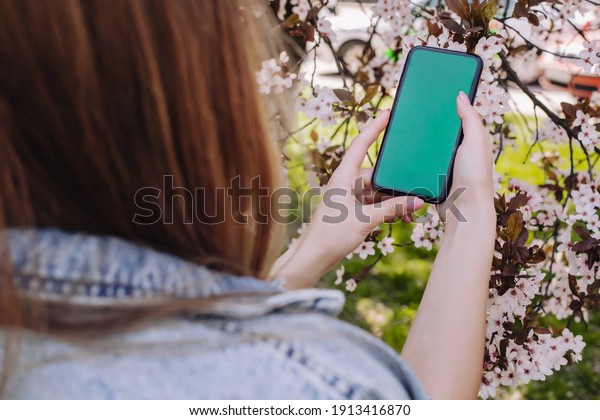 Woman\
holding phone on nature background with green background. Food\
delivery service through the mobile\
application.