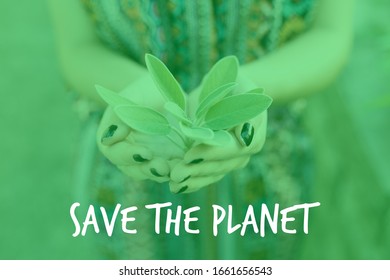 
Woman Holding Plant With Hands With The Message Save The Planet