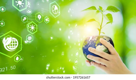 Woman holding a plant pot like planet earth. Environment protection concept. Sustainable development goals. SDGs. - Shutterstock ID 1957261657
