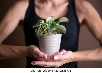 Woman Holding Plant, White Pot On Brown Background