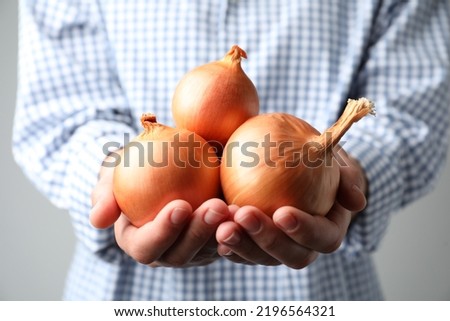 Woman holding raw yellow onion bulbs on grey background, closeup