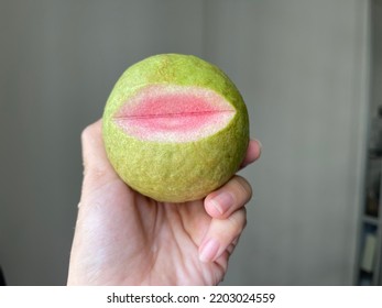 A Woman Is Holding A Red Guava Fruit In Her Hand.