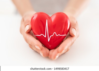 The Woman Is Holding A Red Heart. Concept For Charity, Health Insurance, Love, International Cardiology Day.