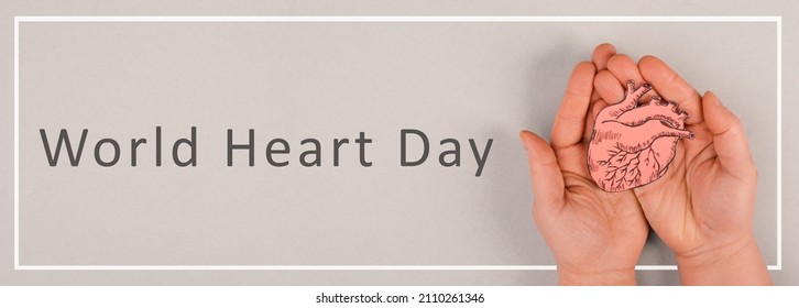 Woman Is Holding A Red Heart In Her Hand, World Heart Day, Grey Colored Background, Heartbeat, Health Issue