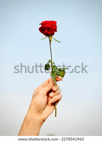 Woman holding rose in her hand