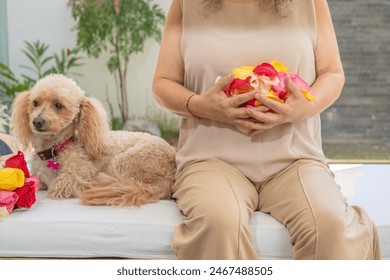Woman holding rose petals in her hands with dog beside her, sitting on a stretcher. - Powered by Shutterstock