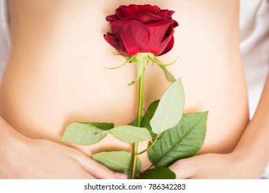 Woman Holding Single Rose On Her Belly