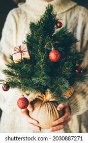 Woman Holding Small Christmas Tree. 