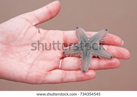 Woman holding small starfish in hand over sand background