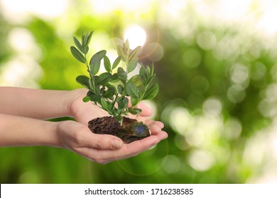 Foto Immagini E Foto Stock A Tema Ecologia Ambiente Shutterstock