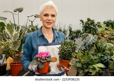 Woman holding succulent plant. Cheerful female florist in apron holding in hands pot with green plant. Lovely housewife with flower in pot and gardening set. Florist woman holding a pot with plant. - Shutterstock ID 2253938135