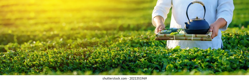 Woman holding teapot cups in tea garden - Powered by Shutterstock