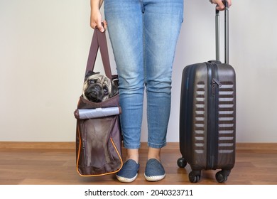 Woman Holding Travel Pet Carrier With A Pug Dog Inside Ready To Get On Board The Airplane At The Airport. Holidays With A Pet