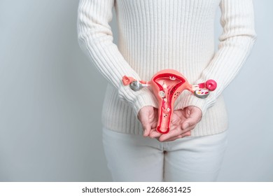 Woman holding Uterus and Ovaries model. Ovarian and Cervical cancer, Cervix disorder, Endometriosis, Hysterectomy, Uterine fibroids, Reproductive system and Pregnancy concept