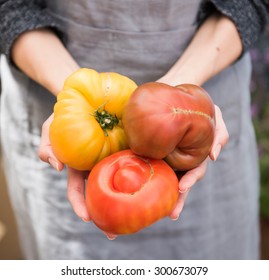 Woman Holding Variety Of Organic Heirloom Tomatoes