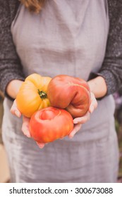 Woman Holding Variety Of Organic Heirloom Tomatoes