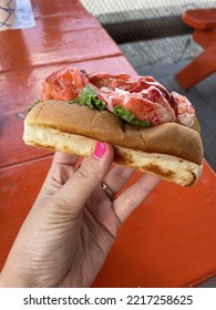 A Woman Holding A Warm, Connecticut Style Lobster Roll.