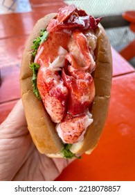 A Woman Holding A Warm, Connecticut Style Lobster Roll.