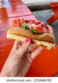 A Woman Holding A Warm, Connecticut Style Lobster Roll.