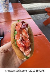 A Woman Holding A Warm, Connecticut Style Lobster Roll.